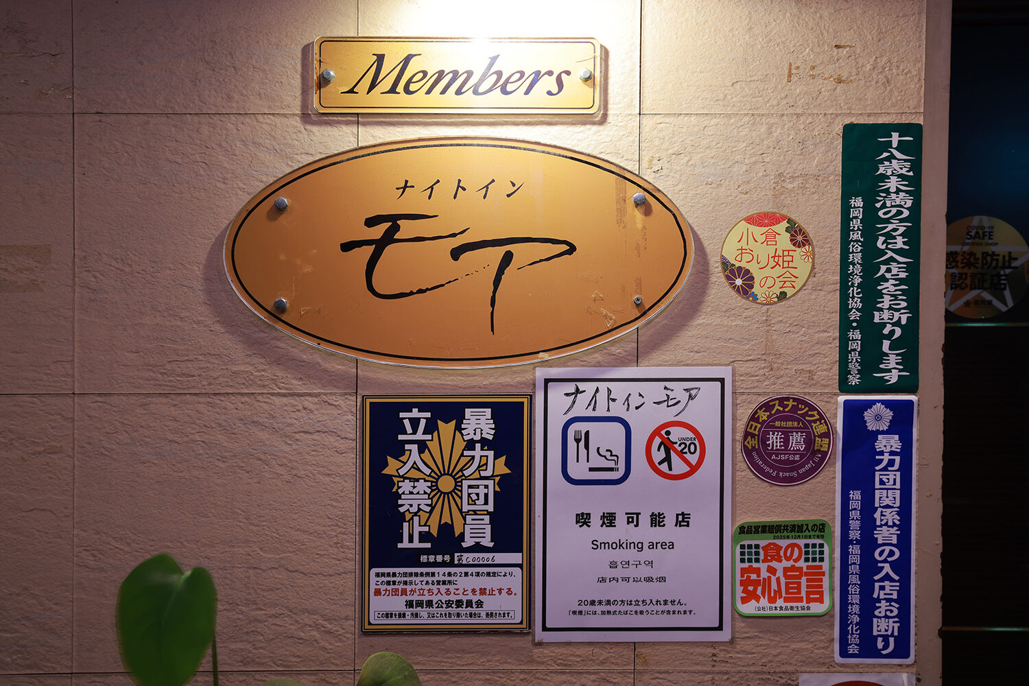 写真1