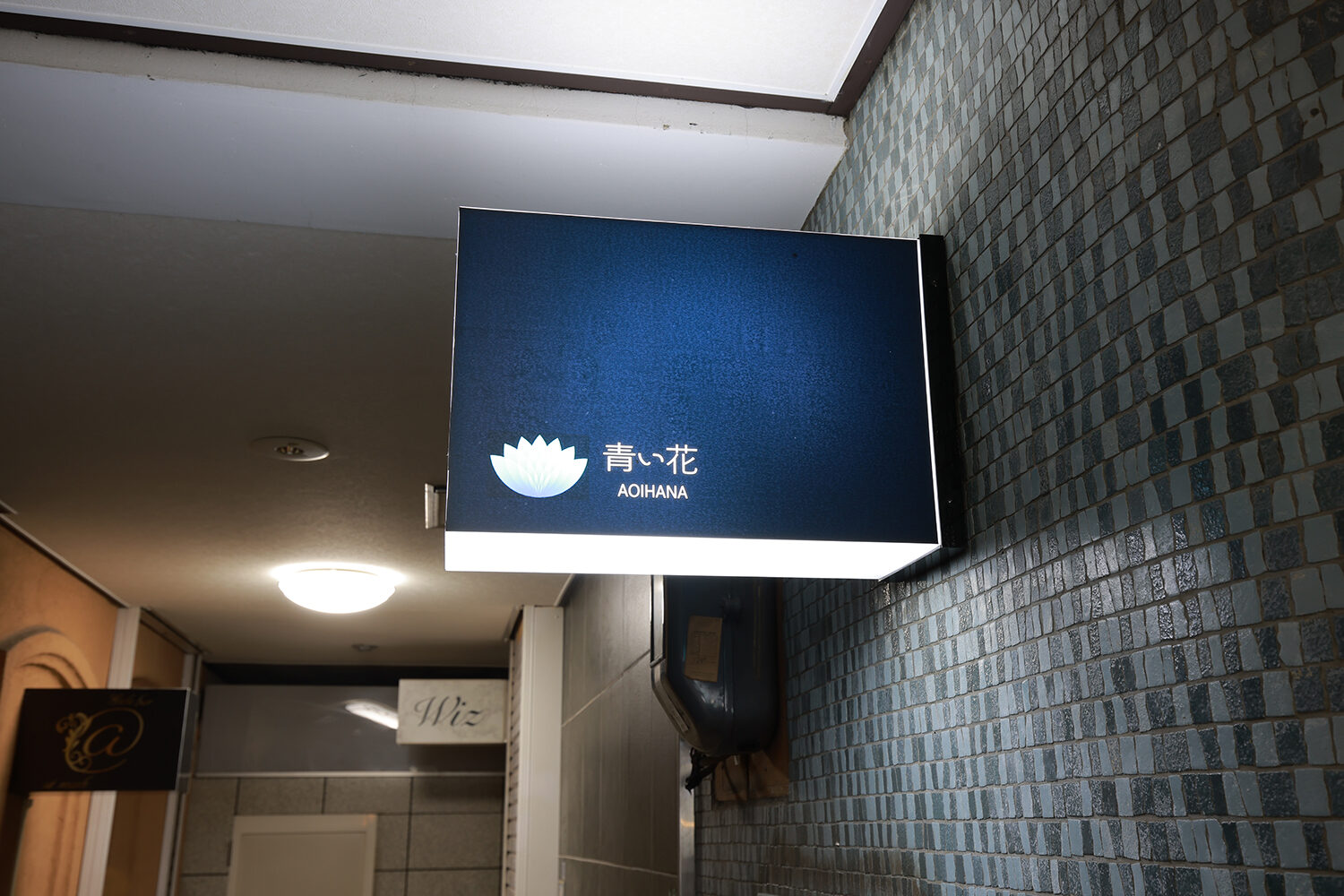 写真1
