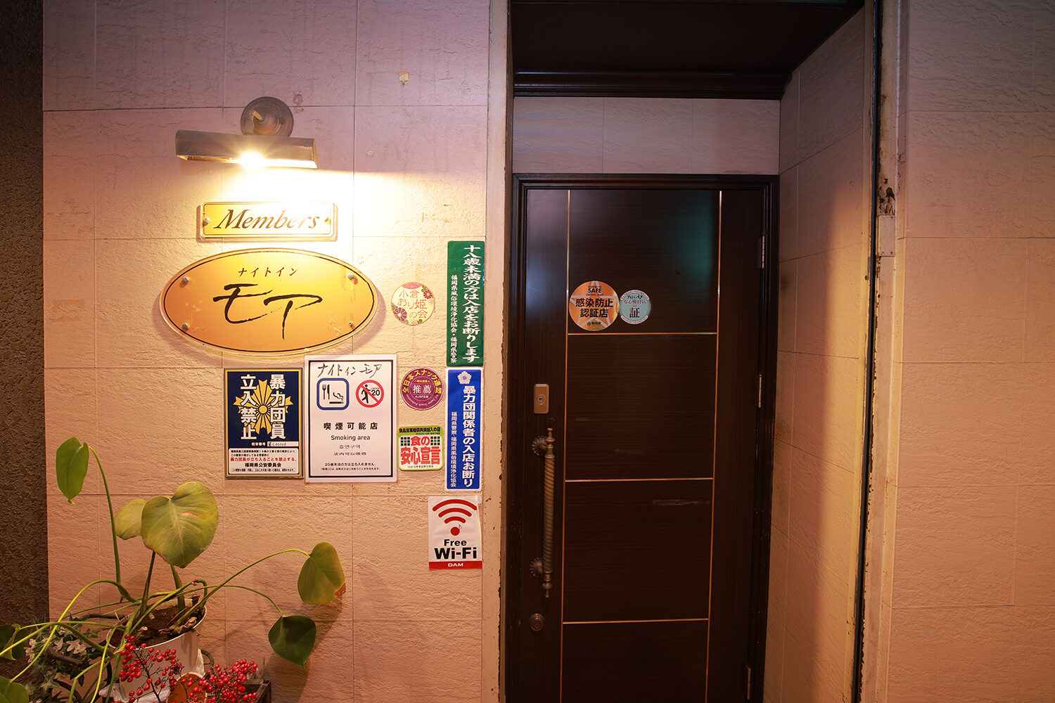 写真2